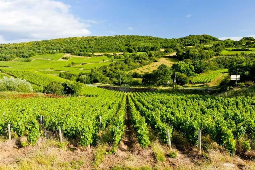 Le Graff - Locationtournus Διαμέρισμα Εξωτερικό φωτογραφία
